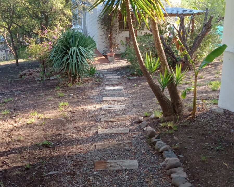 los talas cisceno (4)