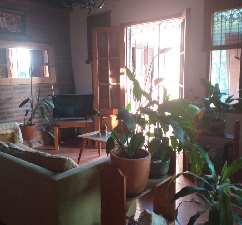 WhatsApp Image 2025-05-14 at 19.03.08