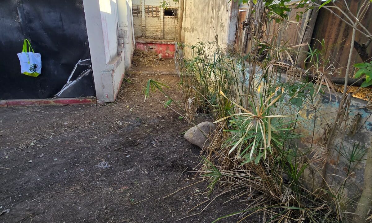 WhatsApp Image 2025-06-18 at 17.47.57
